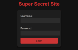 SQL Injection CTF